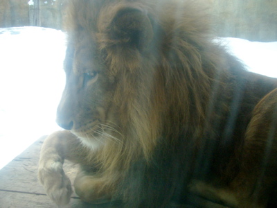 c0039690_17313853.jpg