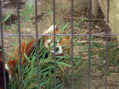 c0039690_1793113.jpg