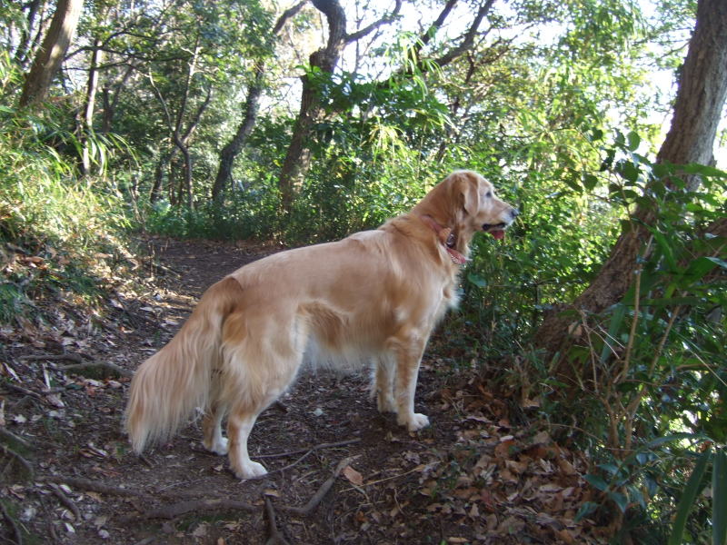 c0104492_2347566.jpg