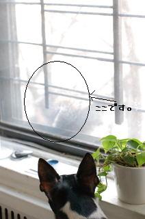 e0039002_1213976.jpg