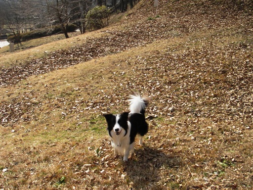 f0034602_204513.jpg