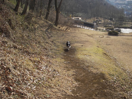f0034602_20452621.jpg