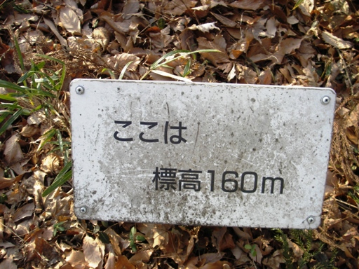 f0034602_20503485.jpg