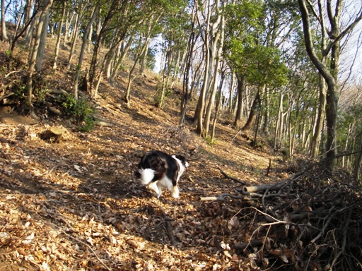 f0034602_20513397.jpg