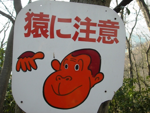 f0034602_2052188.jpg