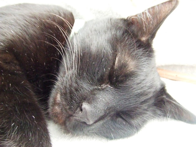 c0062603_1433015.jpg