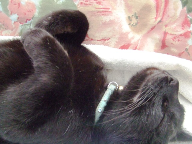 c0062603_14341830.jpg