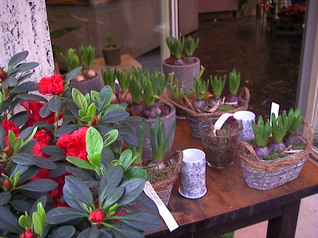 f0038407_5321883.jpg
