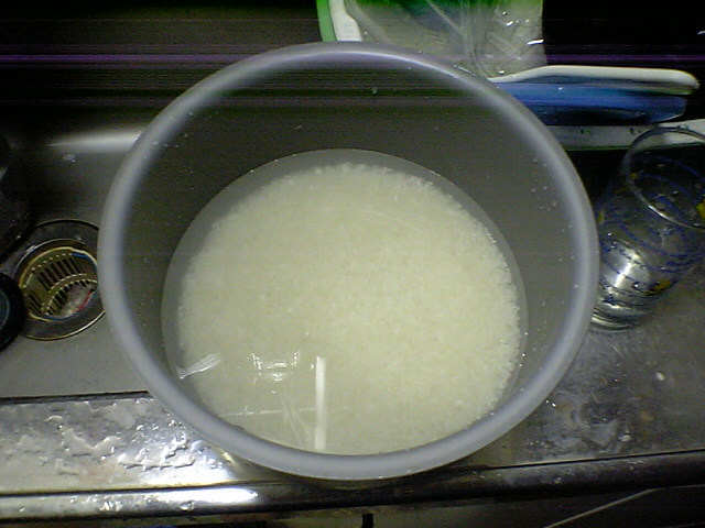 d0087716_2475555.jpg
