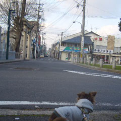 c0036617_184052100.jpg