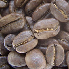 c0036617_18531881.jpg