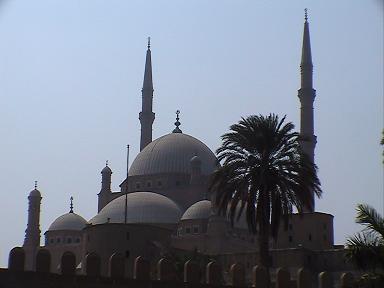 e0055023_2351112.jpg