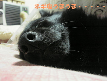 a0009750_1442193.jpg
