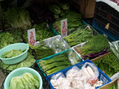 f0107364_13402533.jpg