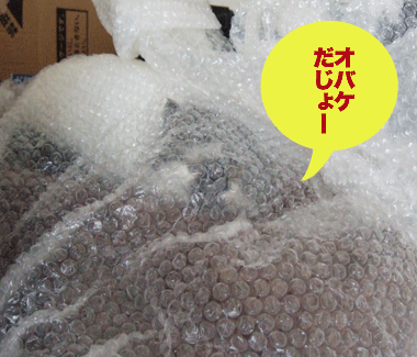c0012571_11424268.gif