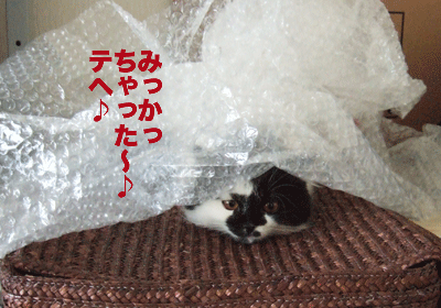 c0012571_11445013.gif