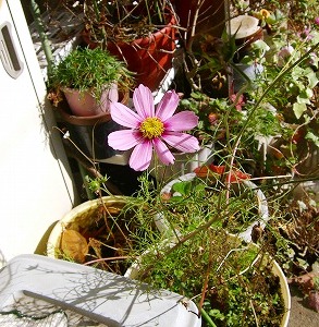 c0078480_17255716.jpg
