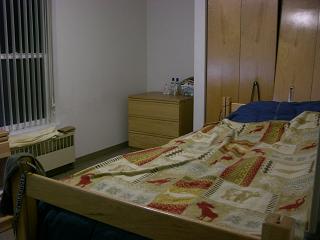 f0112080_1557339.jpg