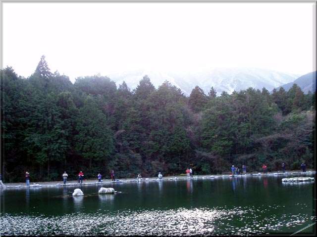 a0043395_17591697.jpg