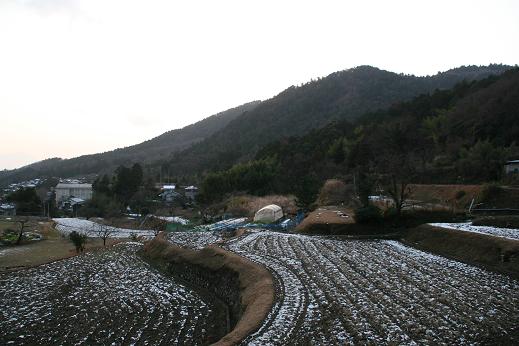 a0062203_14273799.jpg