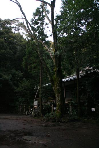 a0062203_1427385.jpg