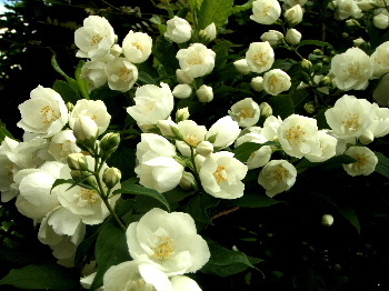 f0041606_22245327.jpg