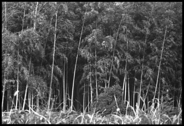d0071507_9121065.jpg
