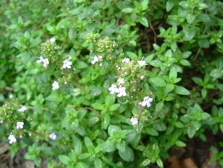 e0046112_22425814.jpg
