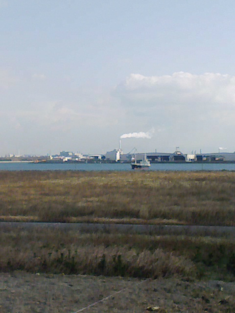 a0030715_10565057.jpg