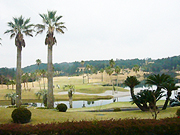 d0042618_2321595.jpg