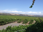 d0093725_22294097.jpg