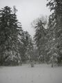 f0128733_13424456.jpg