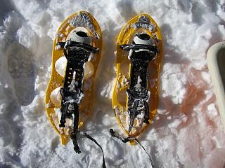 f0003138_14102717.jpg