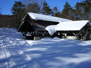 f0003138_14242634.jpg