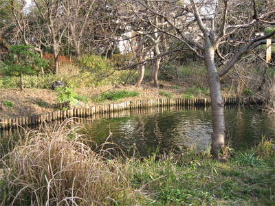 d0023742_16573715.jpg