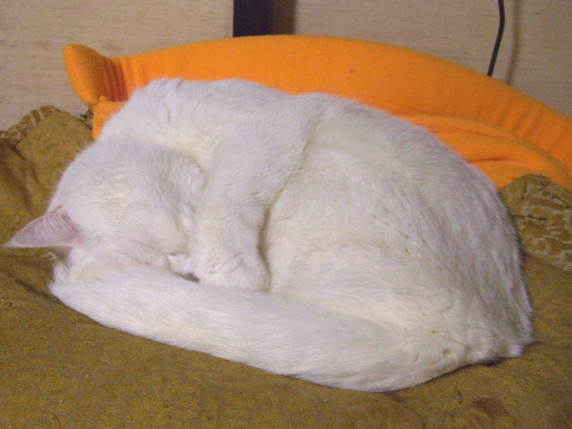 b0097145_23563953.jpg
