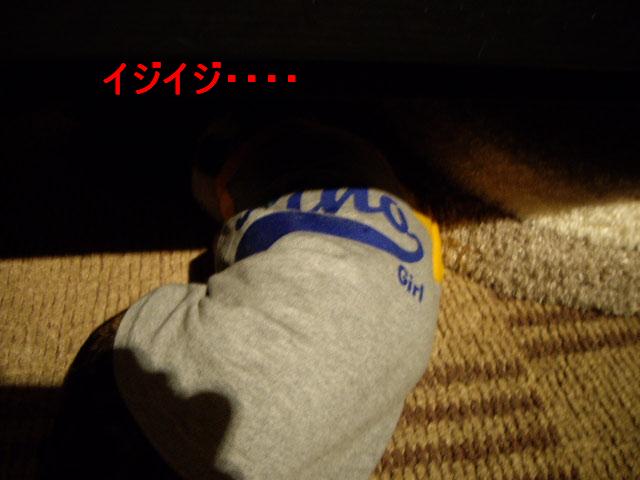 e0098547_1305998.jpg