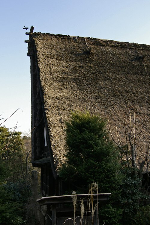 d0100156_20394436.jpg