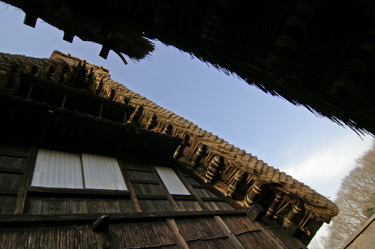 d0100156_20414545.jpg