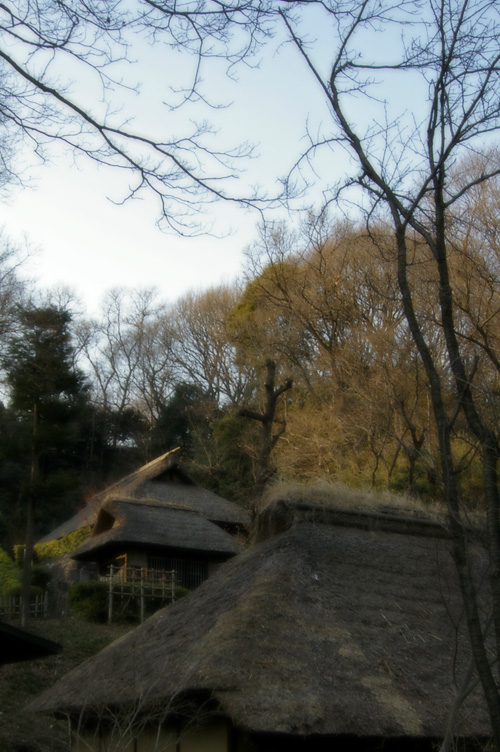 d0100156_2056835.jpg