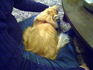 c0051759_10255715.jpg