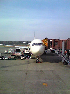 e0089761_315867.jpg