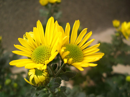 c0025167_0204762.jpg