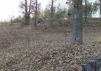e0000968_21411114.jpg