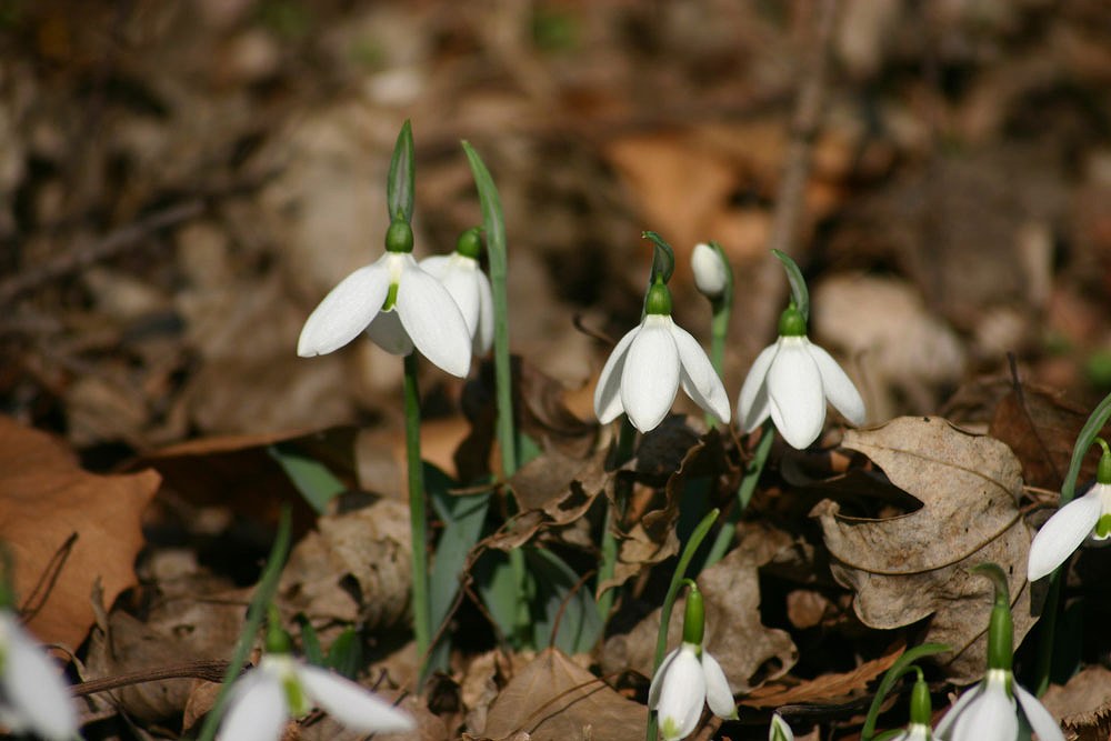 c0007169_20575359.jpg