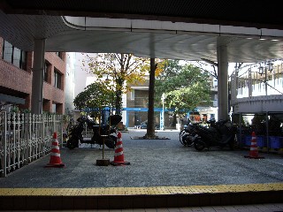f0091282_092383.jpg