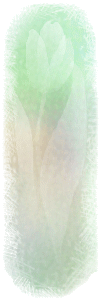 e0026586_6233584.gif