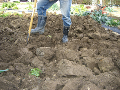 f0070493_23162537.jpg