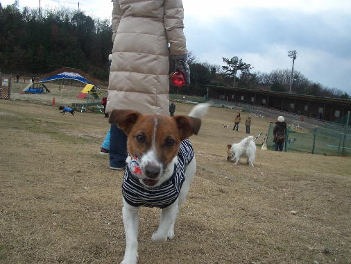 a0051402_19594163.jpg