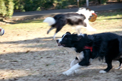 f0034602_2114262.jpg